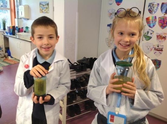 St Catherine's Catholic Primary School - 4F Weekly Learning we 141125